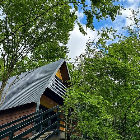 Martvili Canyon Cottage Εξωτερικό φωτογραφία